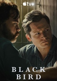 Czarny ptak (2022) cały film online plakat