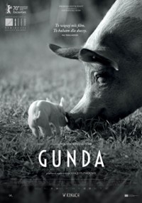 Gunda (2020) oglądaj online