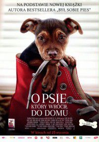 O psie, który wrócił do domu (2019) cały film online plakat