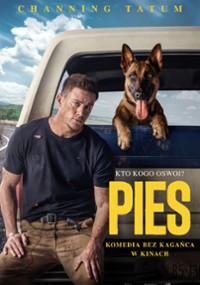 Pies (2022) cały film online plakat